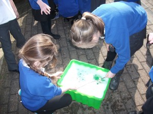Bubbletastic